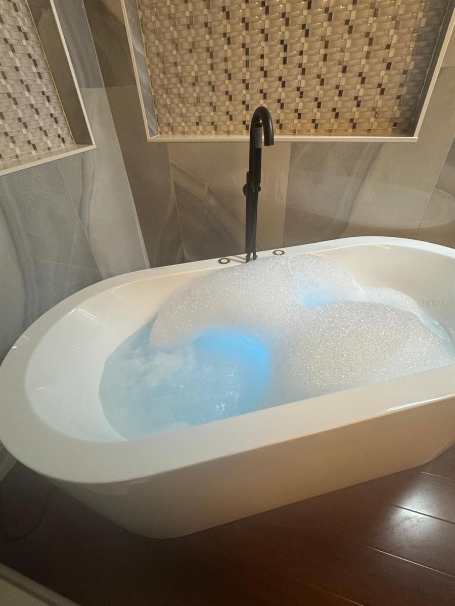 11745 VIA LUCERNA CIR, WINDERMERE, FL, 34786