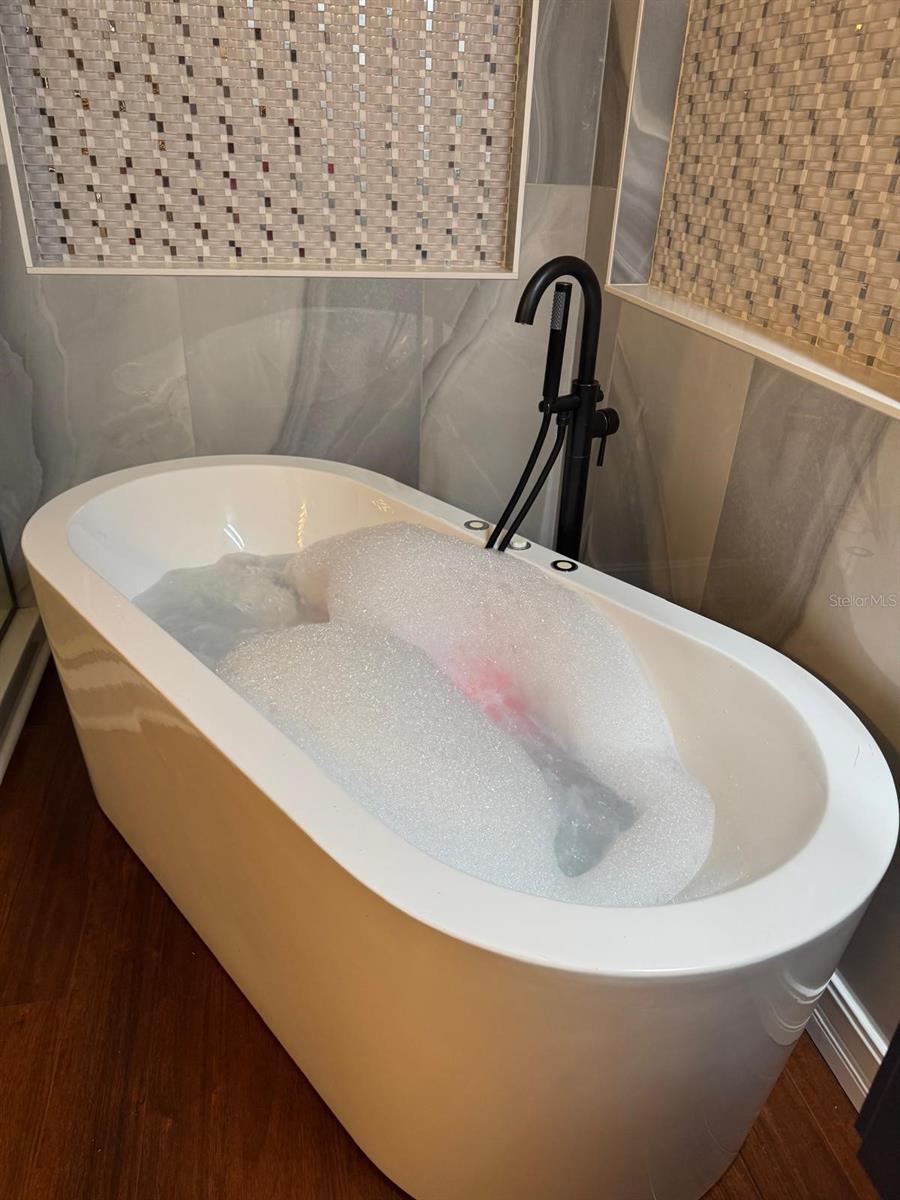 11745 VIA LUCERNA CIR, WINDERMERE, FL, 34786