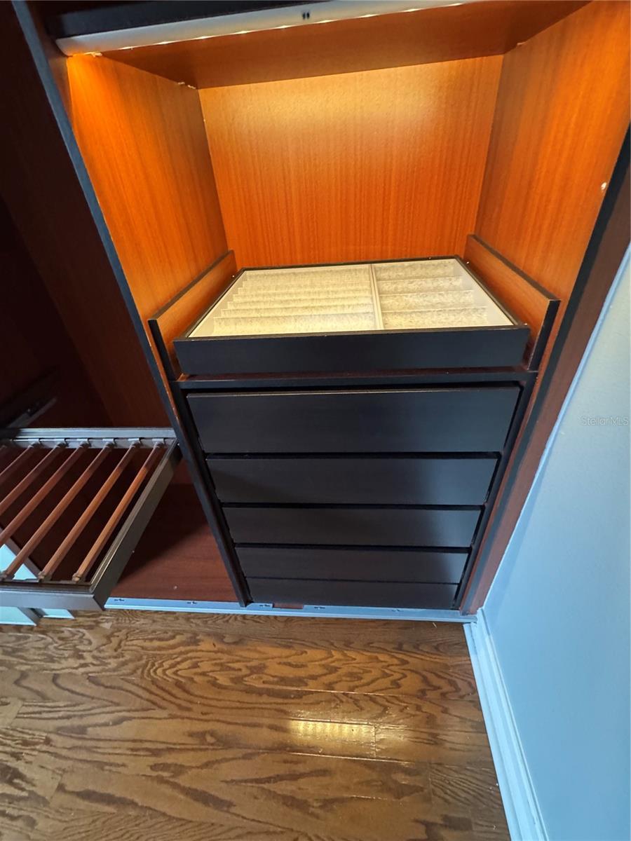 11745 VIA LUCERNA CIR, WINDERMERE, FL, 34786