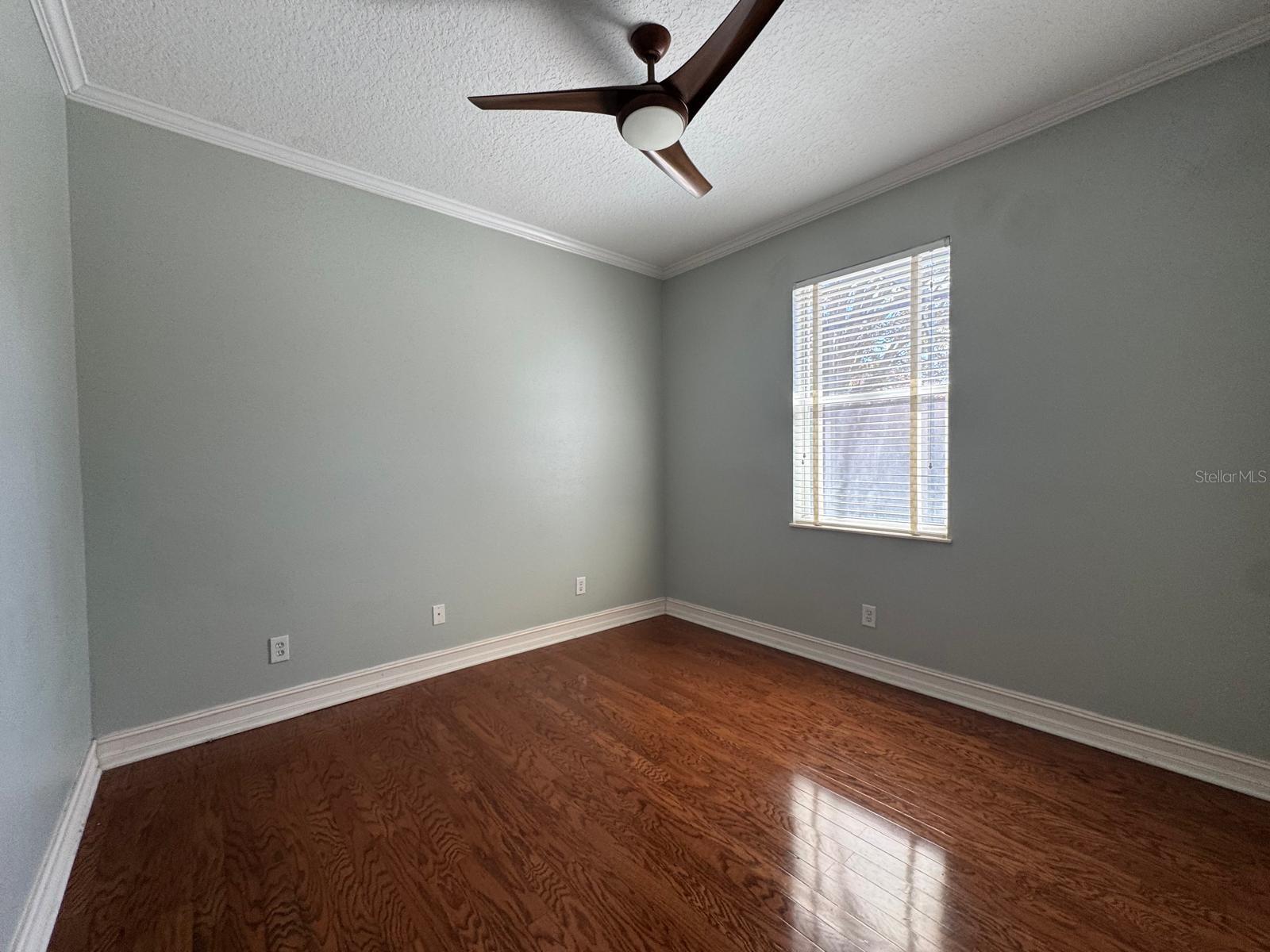 11745 VIA LUCERNA CIR, WINDERMERE, FL, 34786