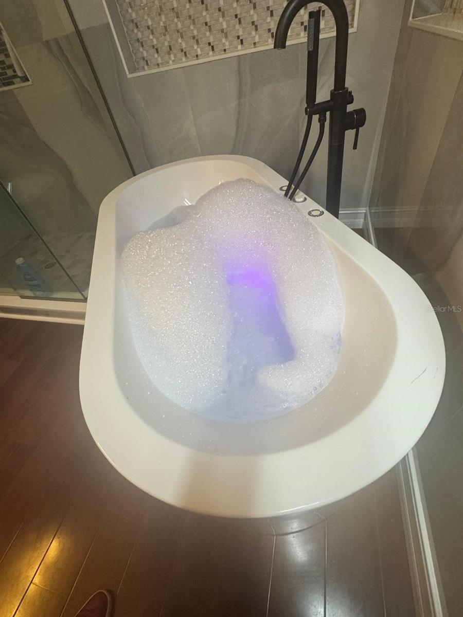 11745 VIA LUCERNA CIR, WINDERMERE, FL, 34786