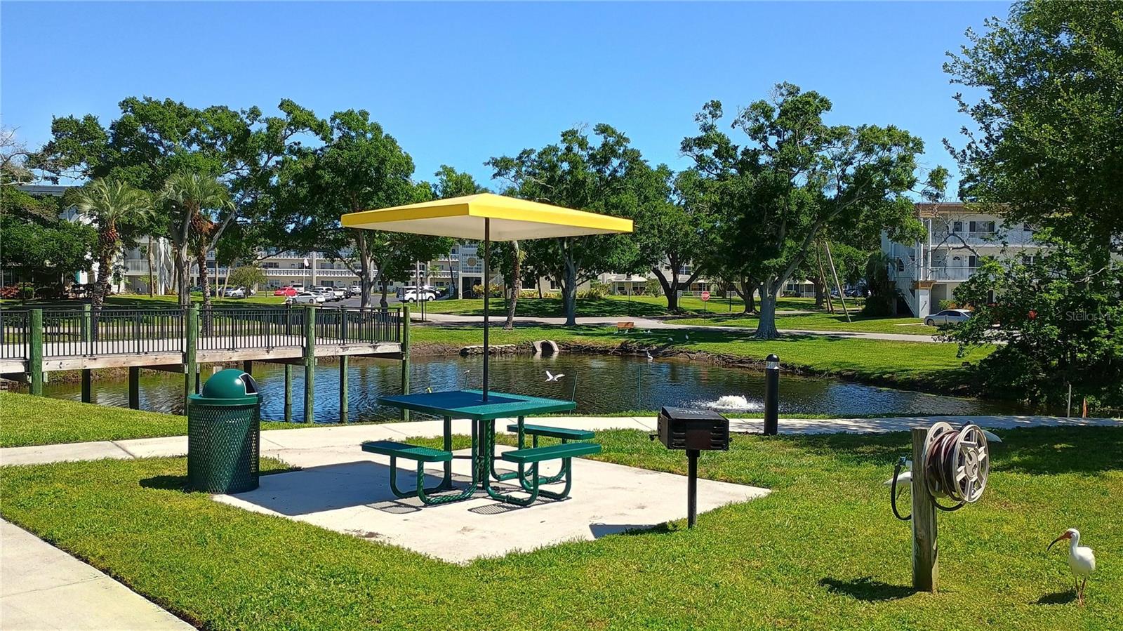 2341 HAITIAN DR #55, CLEARWATER, FL, 33763