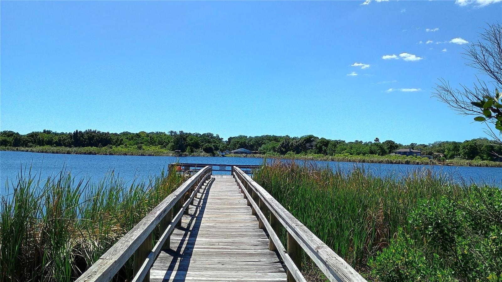 2341 HAITIAN DR #55, CLEARWATER, FL, 33763