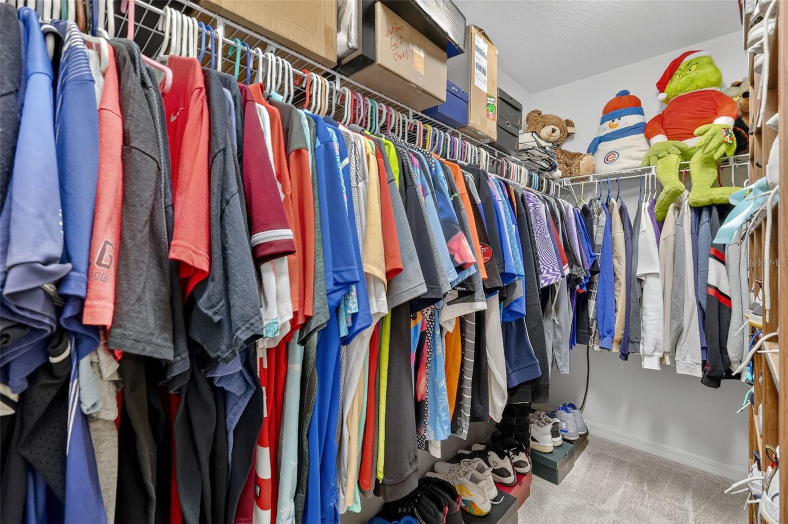 11367 LAUFERSKY LN, OXFORD, FL, 34484