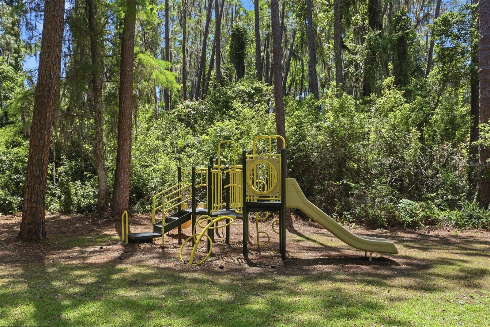 9151 POINT CYPRESS DR, ORLANDO, FL, 32836