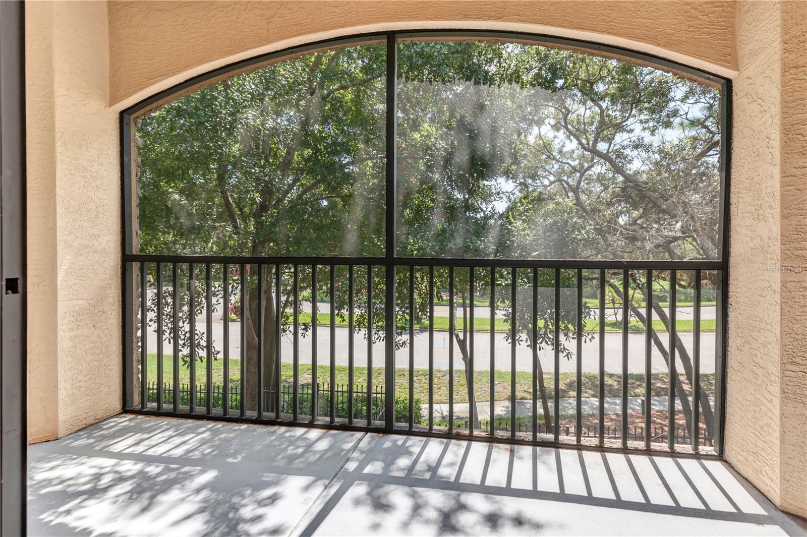 2250 PORTOFINO PL #235, PALM HARBOR, FL, 34683