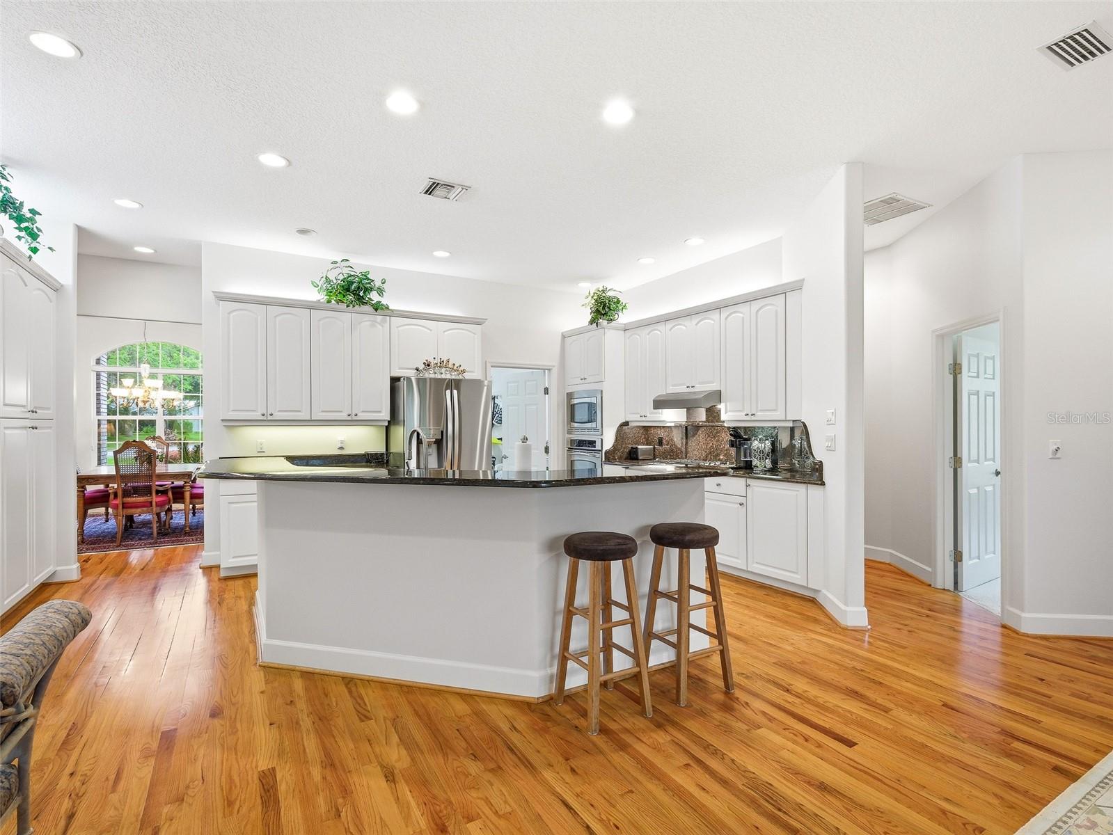 552 BOTTLEBRUSH CT, NEW SMYRNA BEACH, FL, 32168