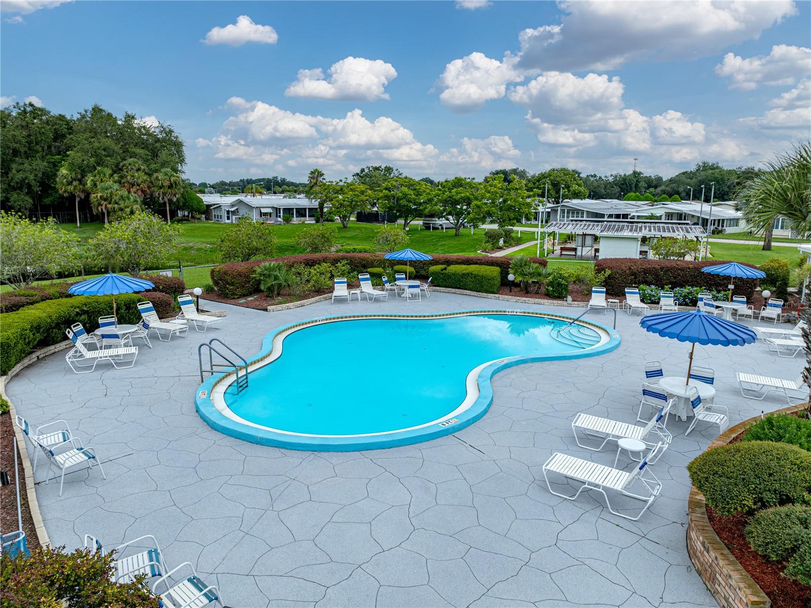 35116 COLONY HILLS DR, ZEPHYRHILLS, FL, 33541