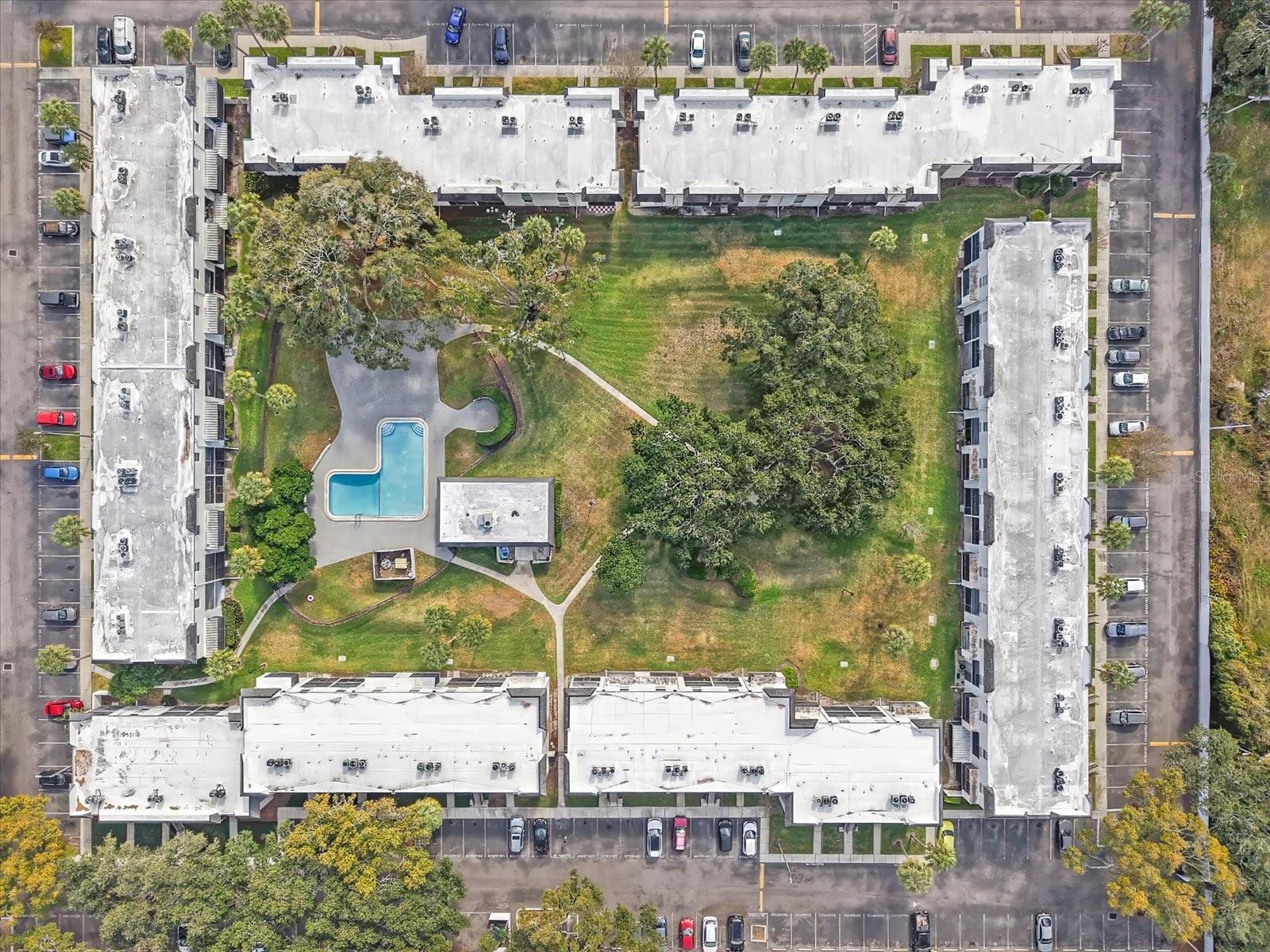 811 RUSSELL LN #309, BRANDON, FL, 33510