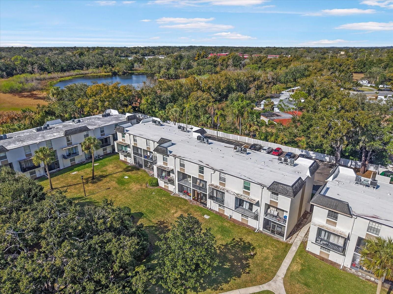 811 RUSSELL LN #309, BRANDON, FL, 33510