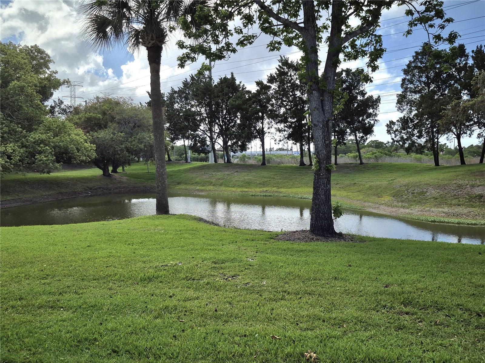 509 MEADOW LN #509, OLDSMAR, FL, 34677