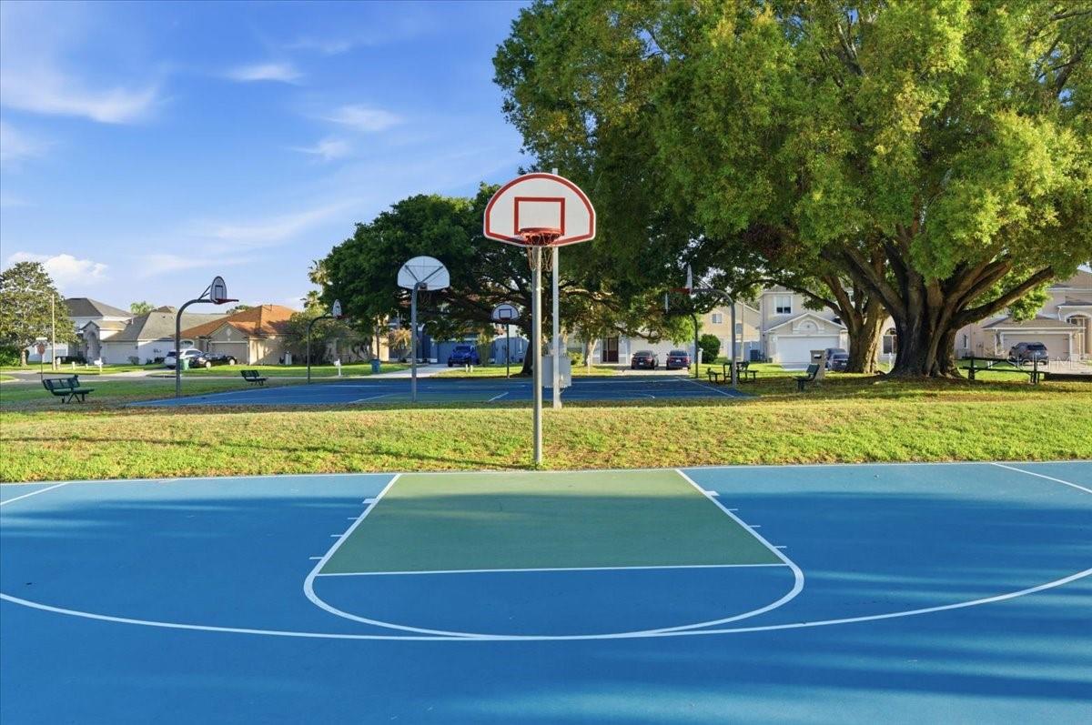 25522 BRUFORD BLVD, LAND O LAKES, FL, 34639