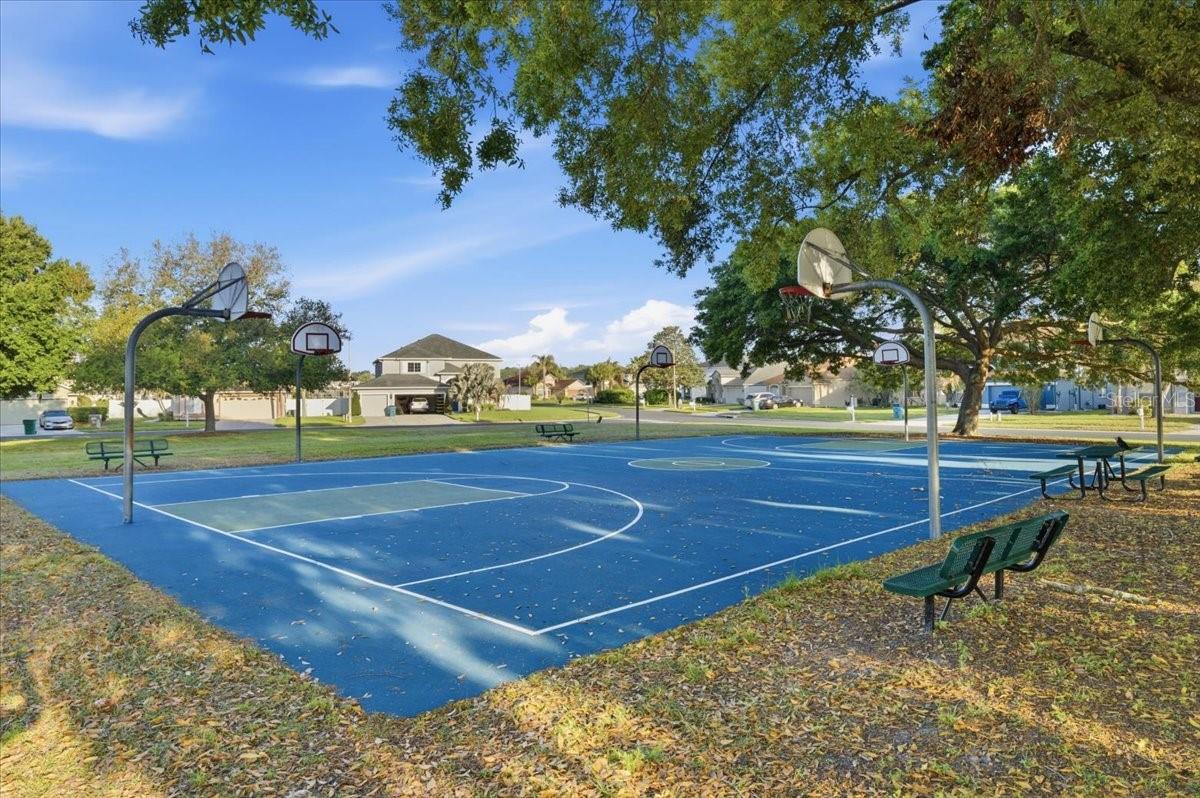 25522 BRUFORD BLVD, LAND O LAKES, FL, 34639