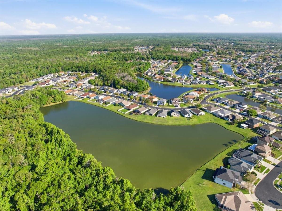 25522 BRUFORD BLVD, LAND O LAKES, FL, 34639