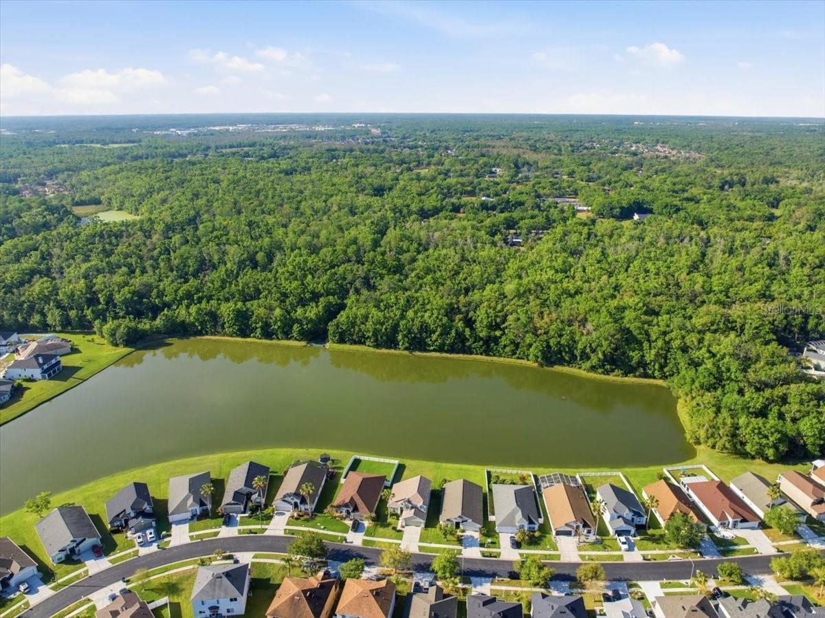 25522 BRUFORD BLVD, LAND O LAKES, FL, 34639