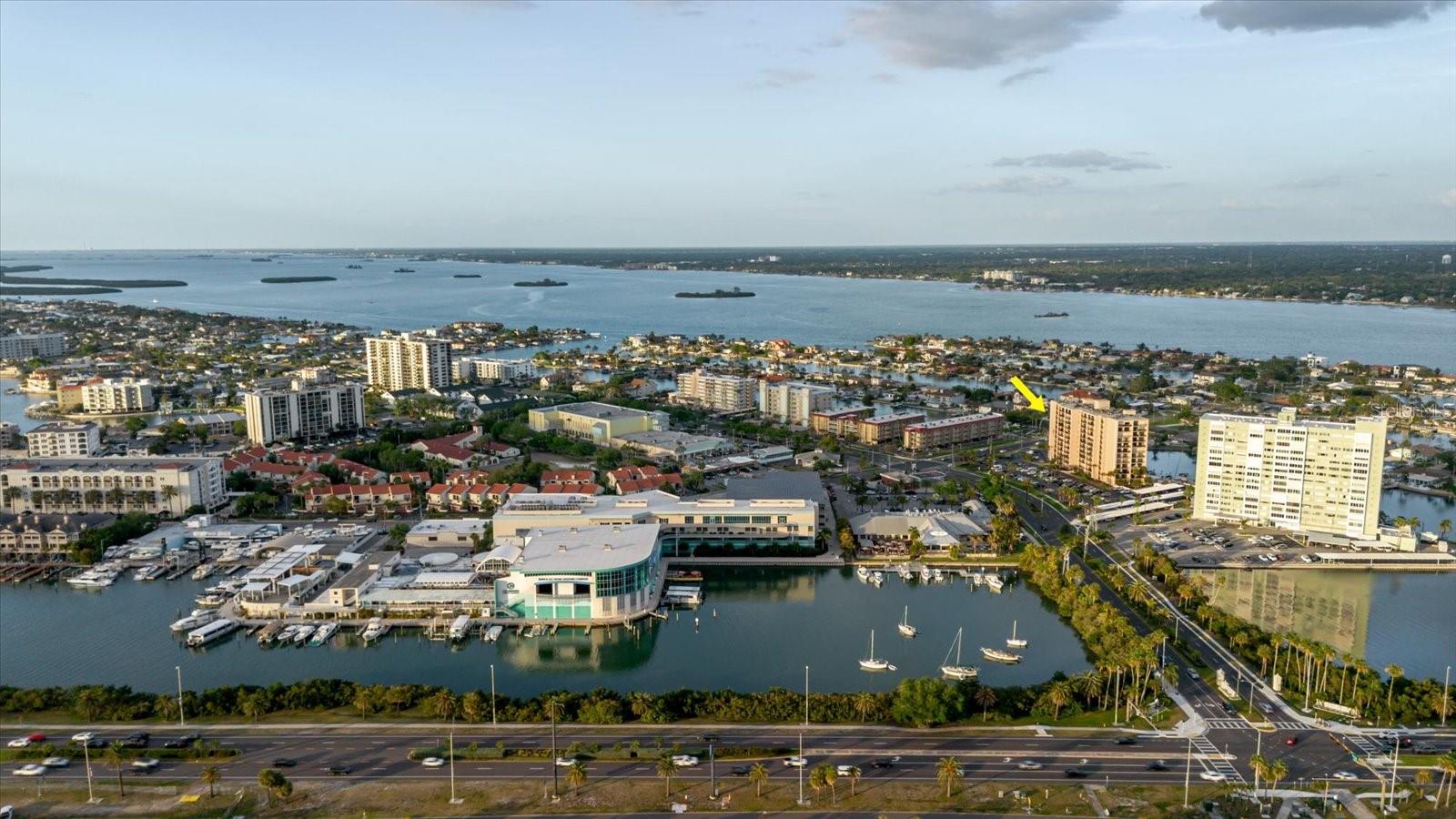 51 ISLAND WAY #801, CLEARWATER BEACH, FL, 33767