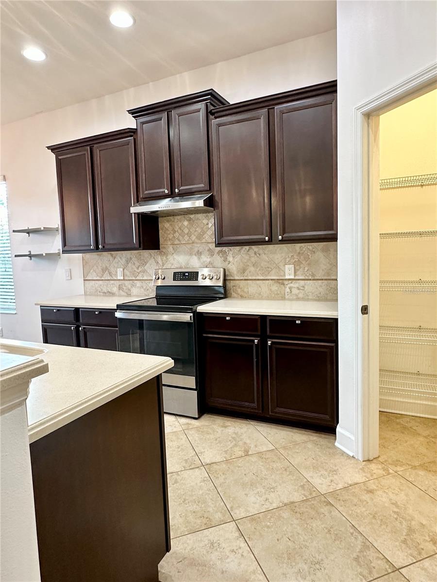 6157 CASTLETON HOLLOW RD, RIVERVIEW, FL, 33578