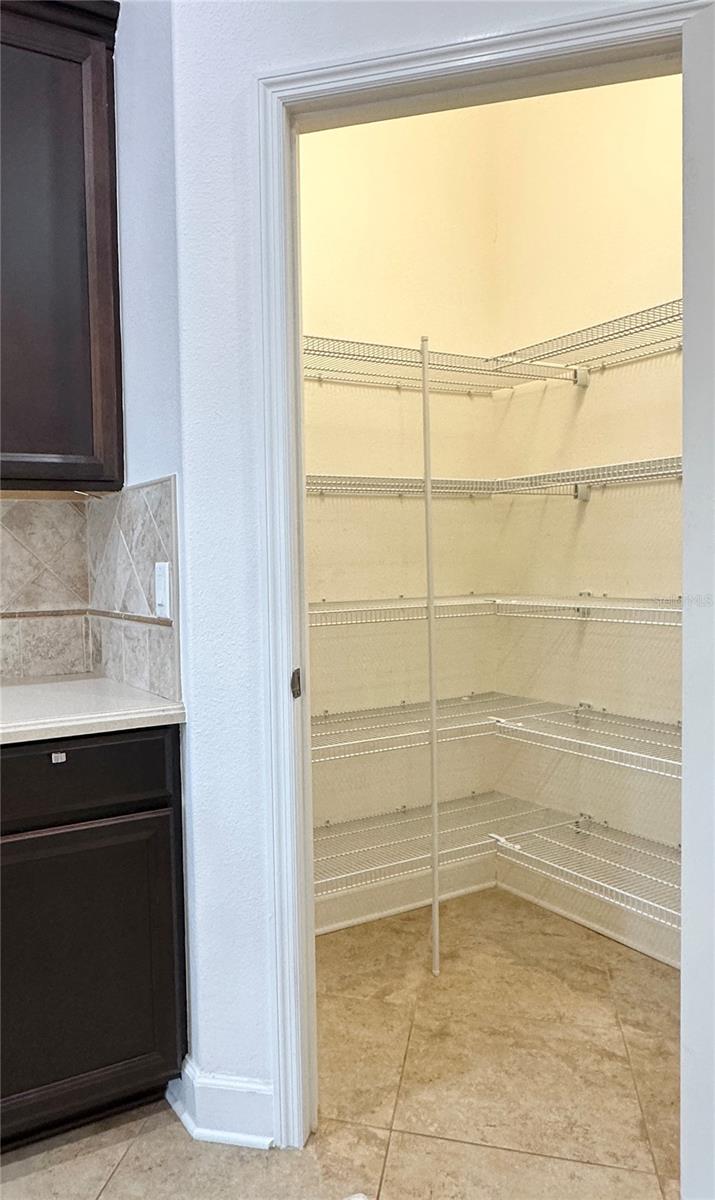 6157 CASTLETON HOLLOW RD, RIVERVIEW, FL, 33578