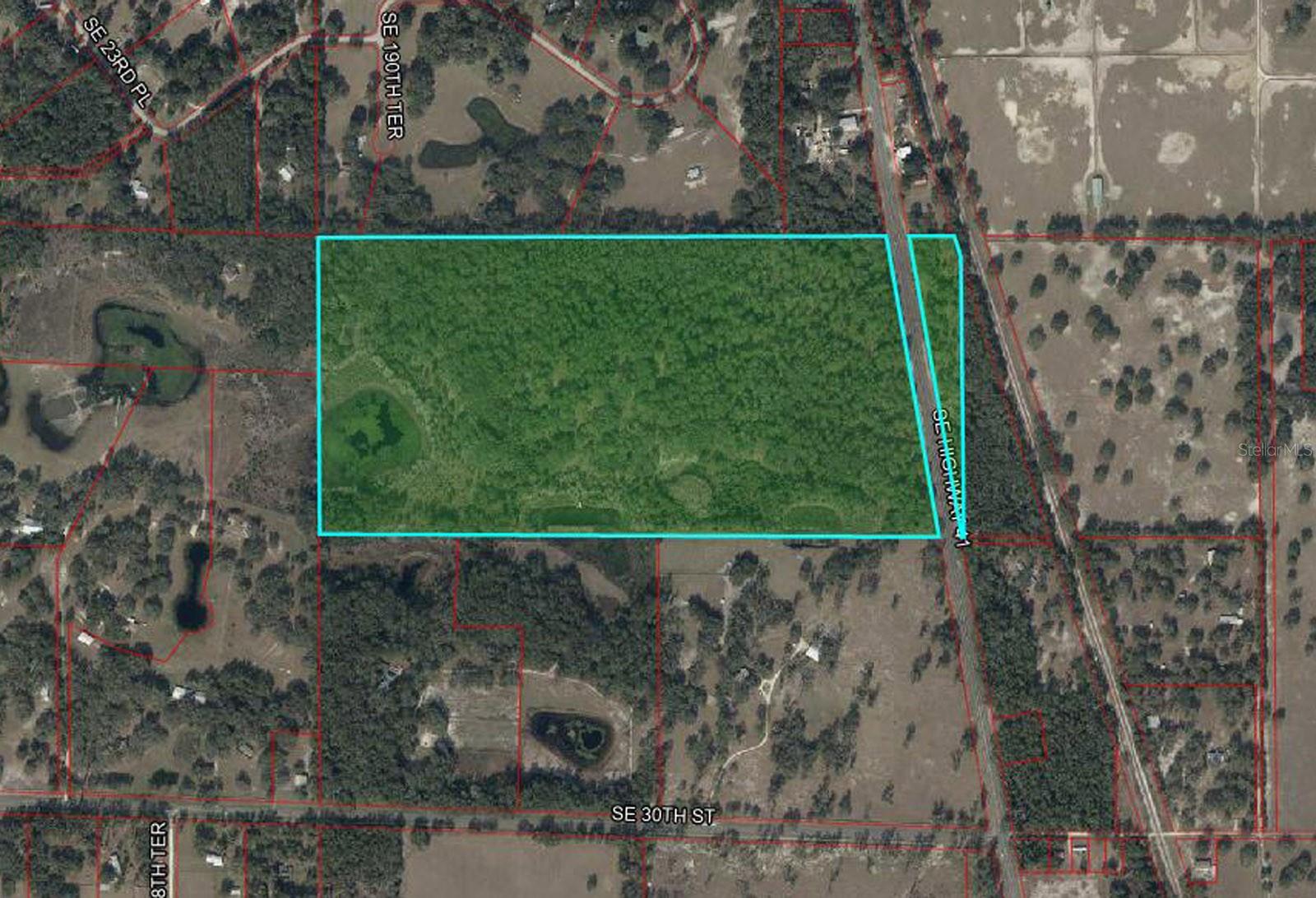 2650 SE HIGHWAY 41, MORRISTON, FL, 32668