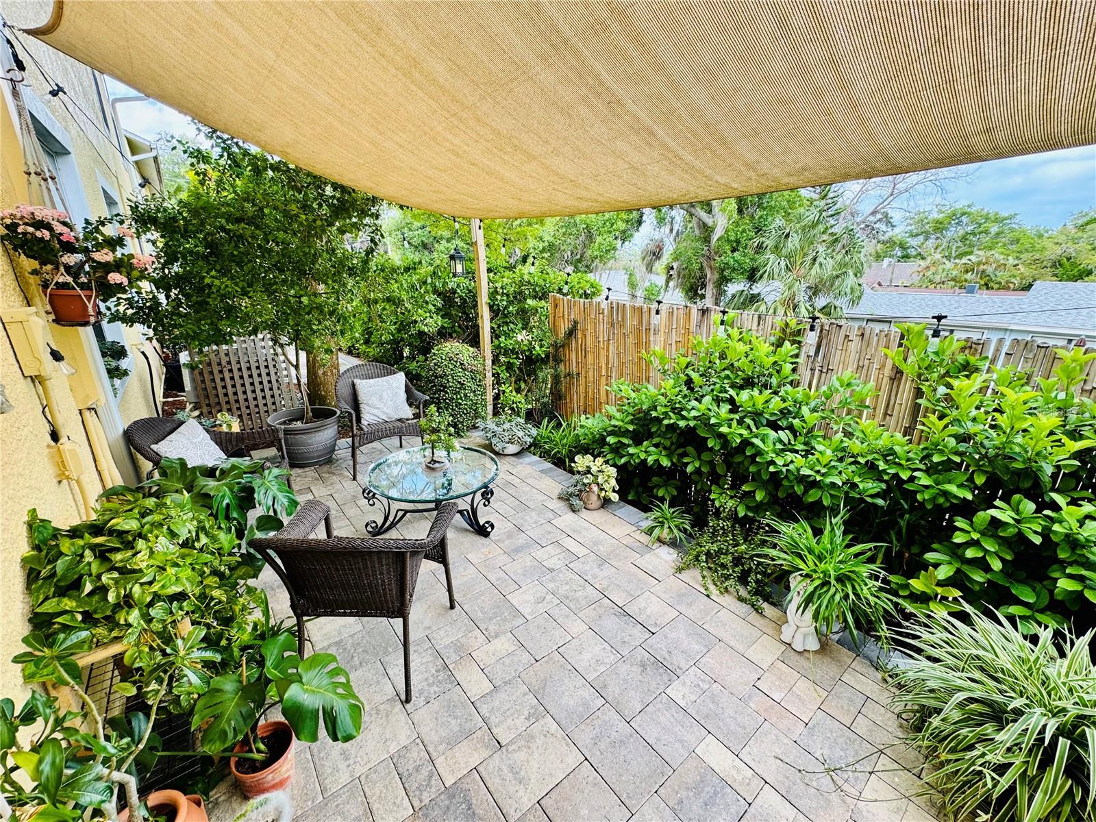 1116 SUNSET POINT RD #202, CLEARWATER, FL, 33755