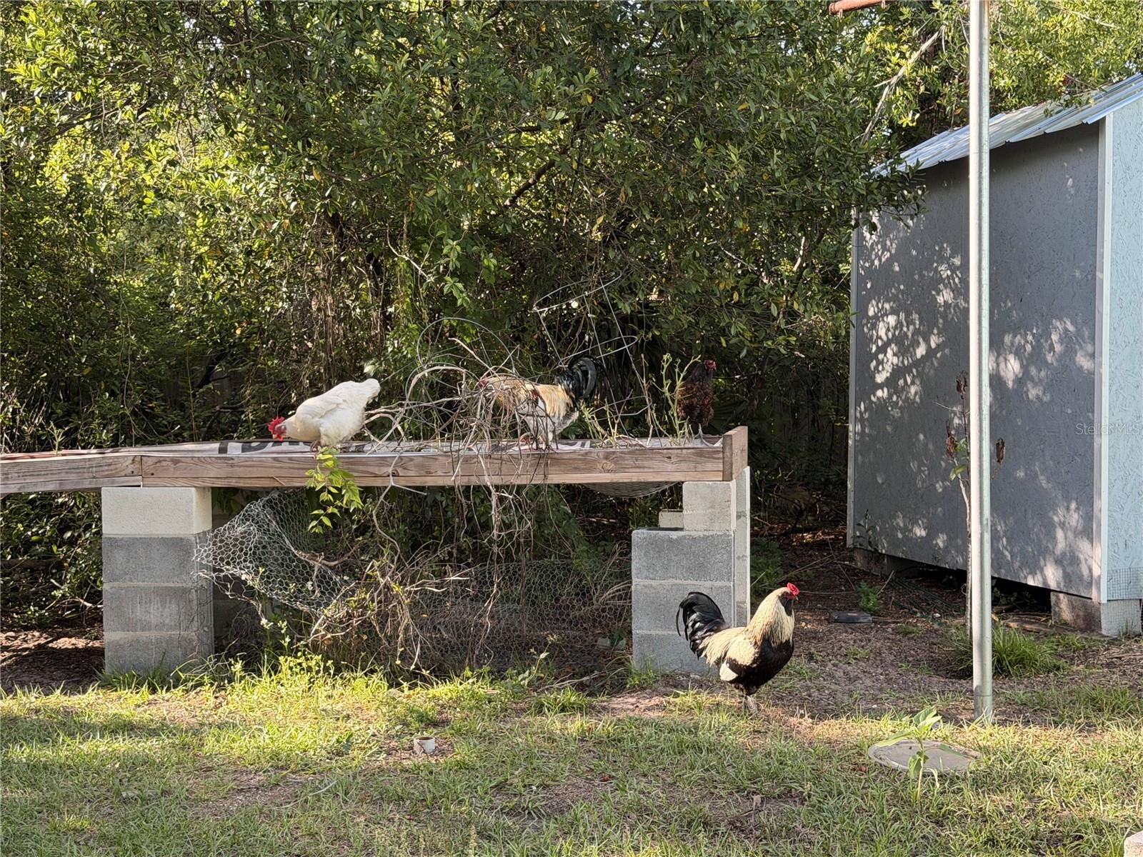 7700 EDEN PARK RD, ORLANDO, FL, 32810