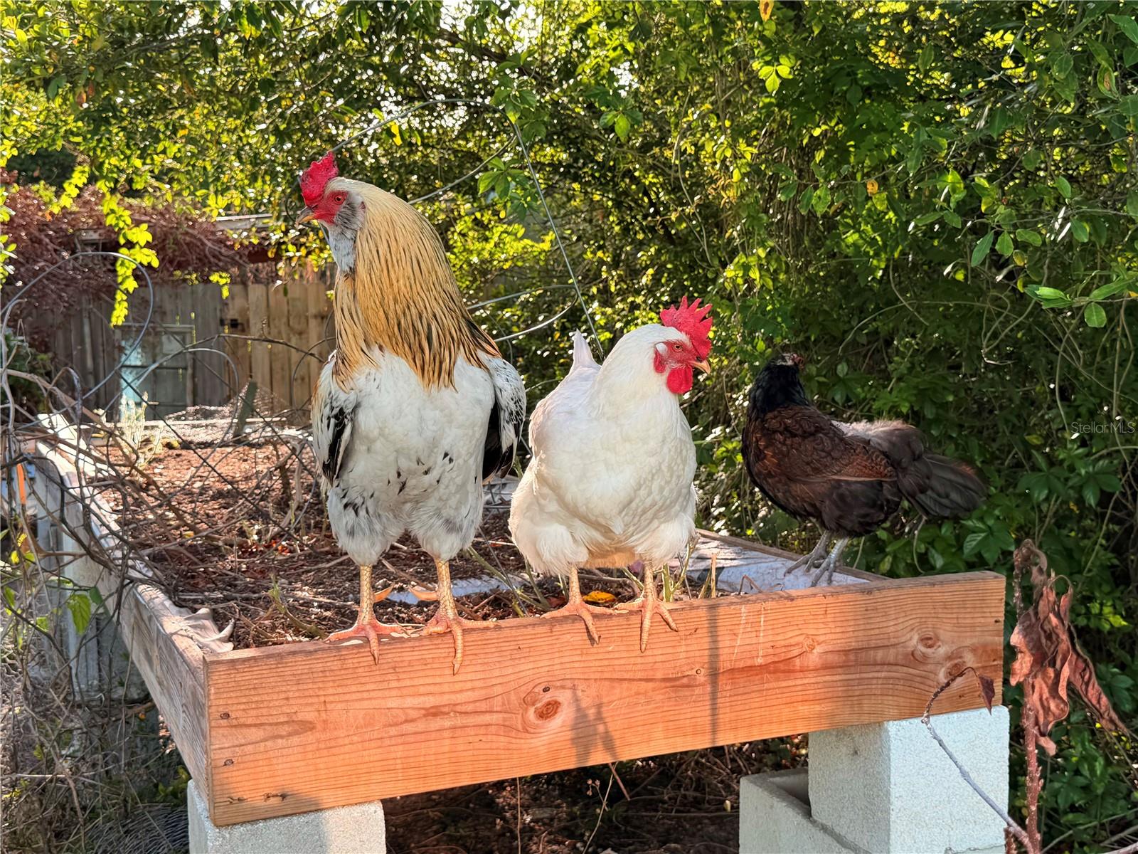 7700 EDEN PARK RD, ORLANDO, FL, 32810