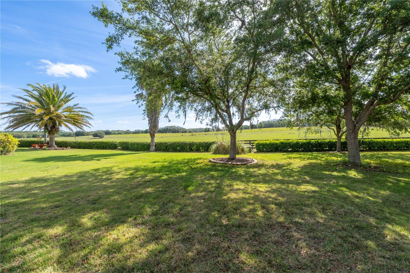 270 MATISSE AVE, THE VILLAGES, FL, 32162