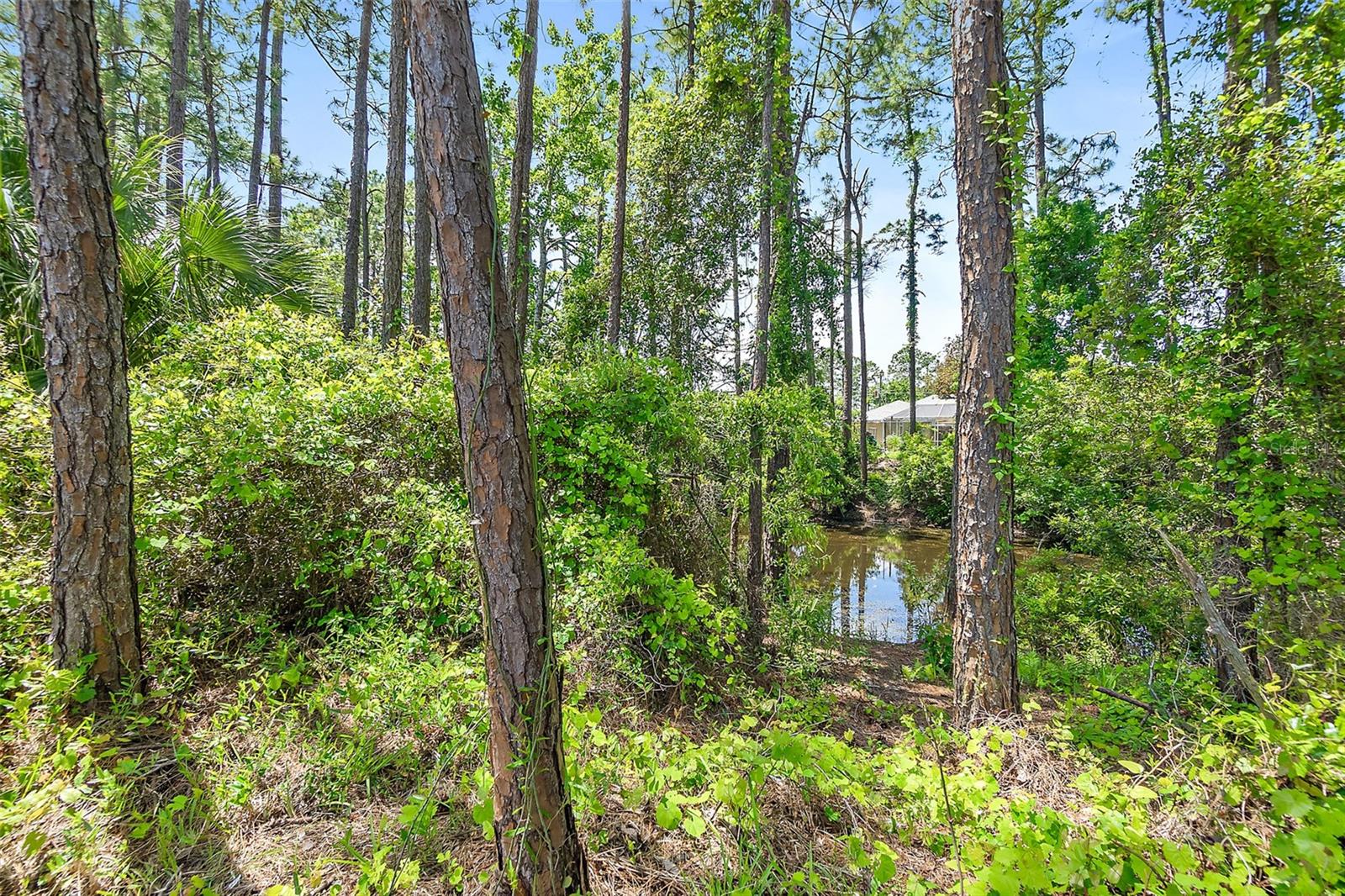 18 REID PL, PALM COAST, FL, 32164