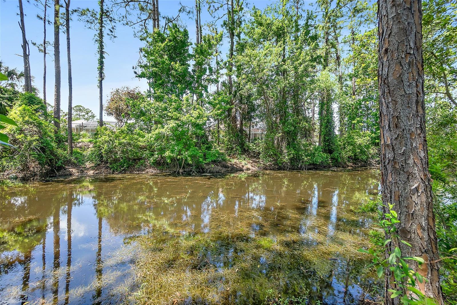 18 REID PL, PALM COAST, FL, 32164