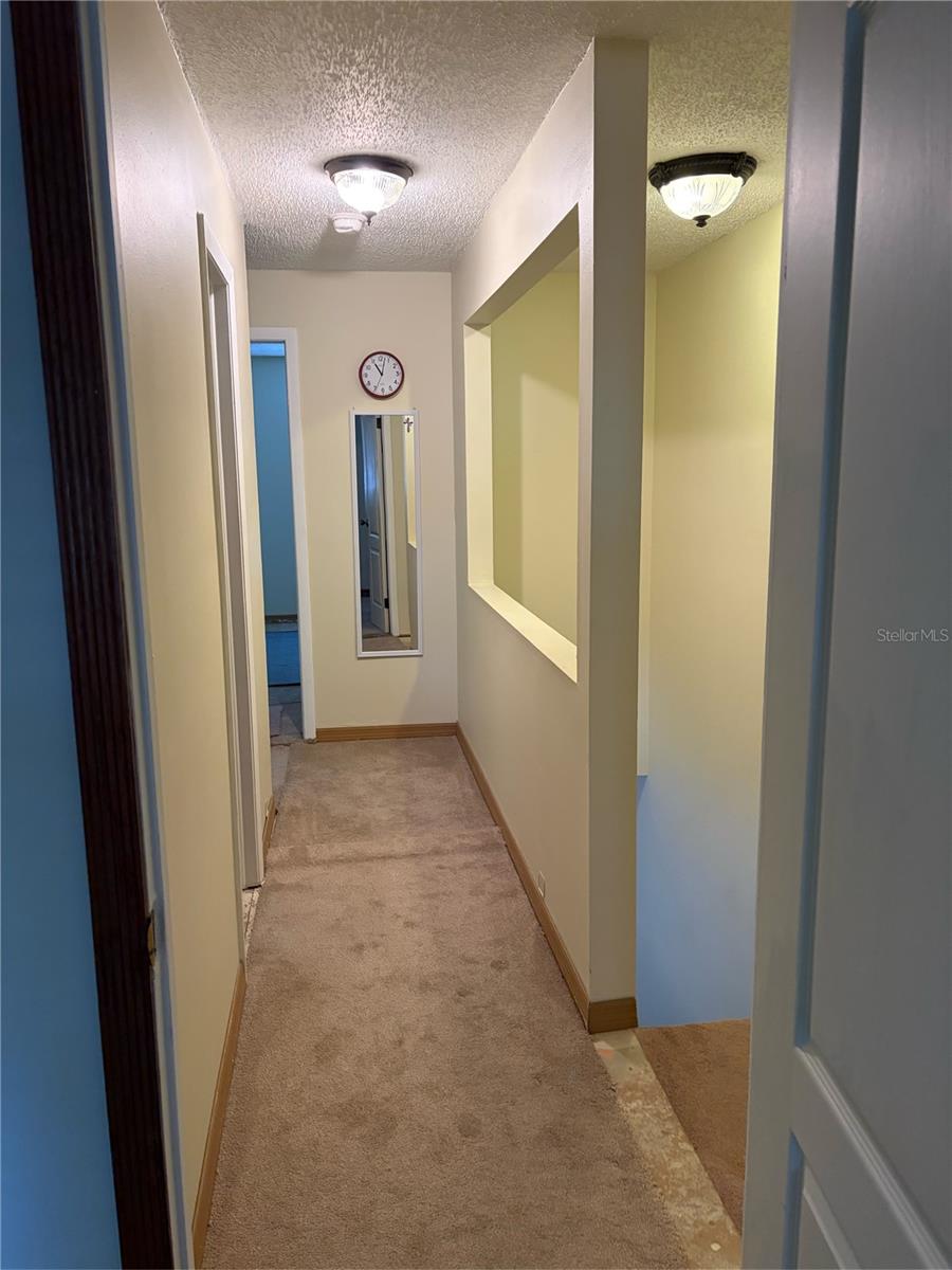 11727 WESSON CIR E, TAMPA, FL, 33618