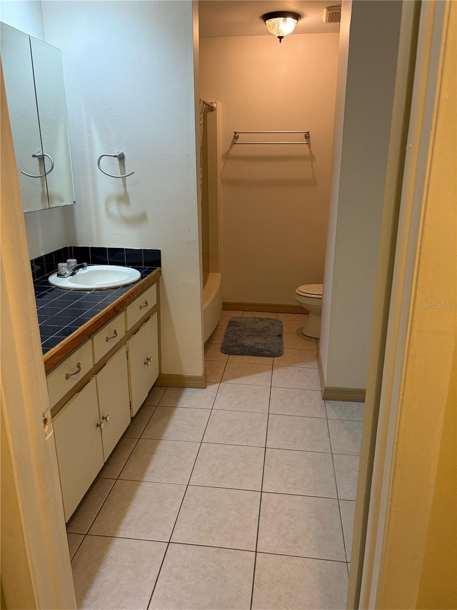 11727 WESSON CIR E, TAMPA, FL, 33618