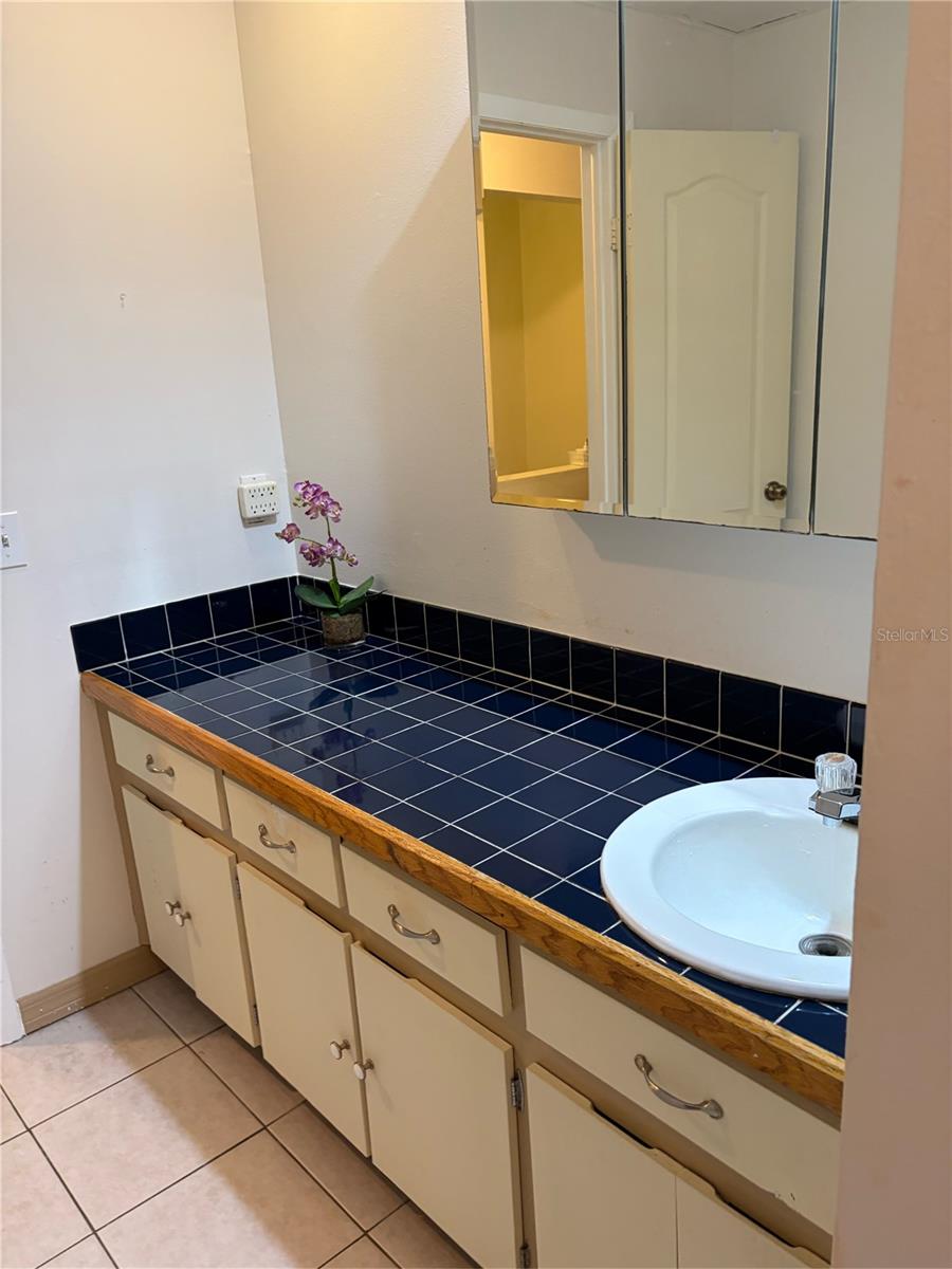 11727 WESSON CIR E, TAMPA, FL, 33618