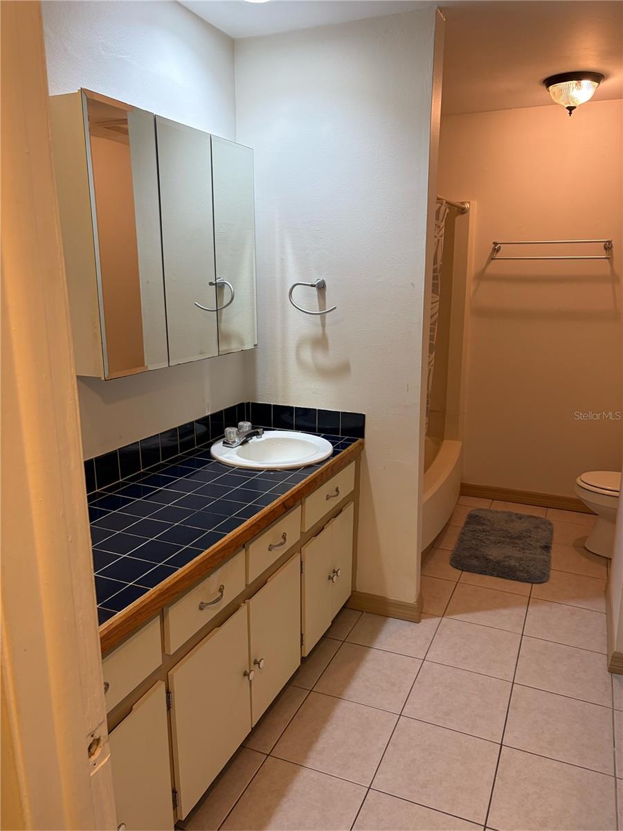 11727 WESSON CIR E, TAMPA, FL, 33618