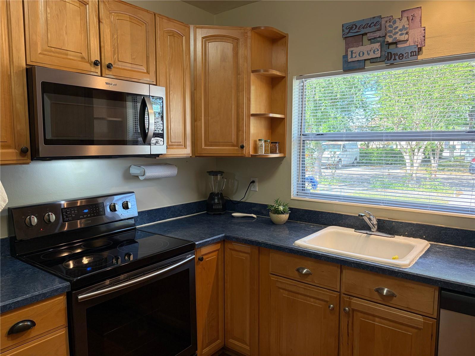 11727 WESSON CIR E, TAMPA, FL, 33618