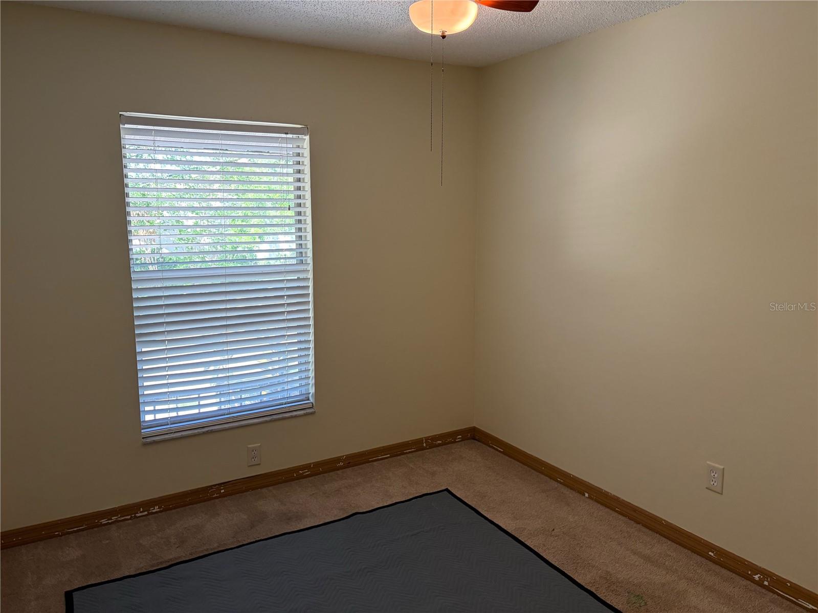 11727 WESSON CIR E, TAMPA, FL, 33618