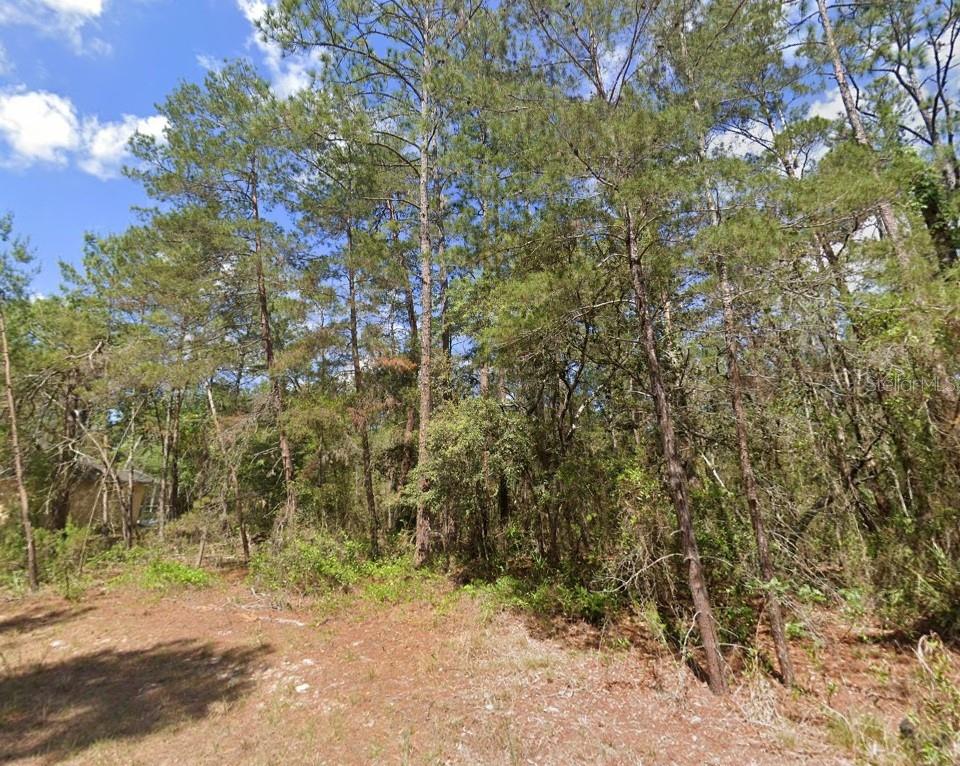 15 PETUNIAS CT, HOMOSASSA, FL, 34446