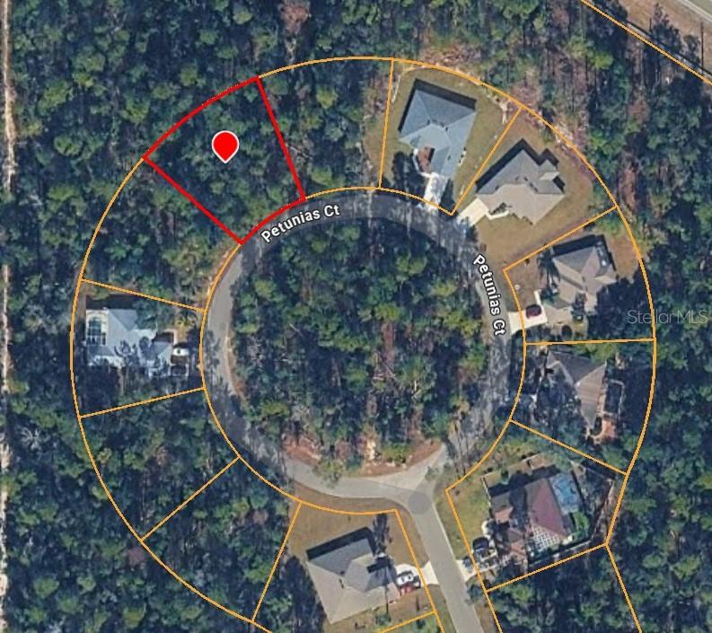 15 PETUNIAS CT, HOMOSASSA, FL, 34446