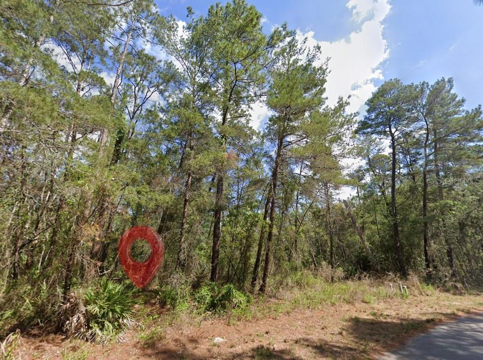 15 PETUNIAS CT, HOMOSASSA, FL, 34446