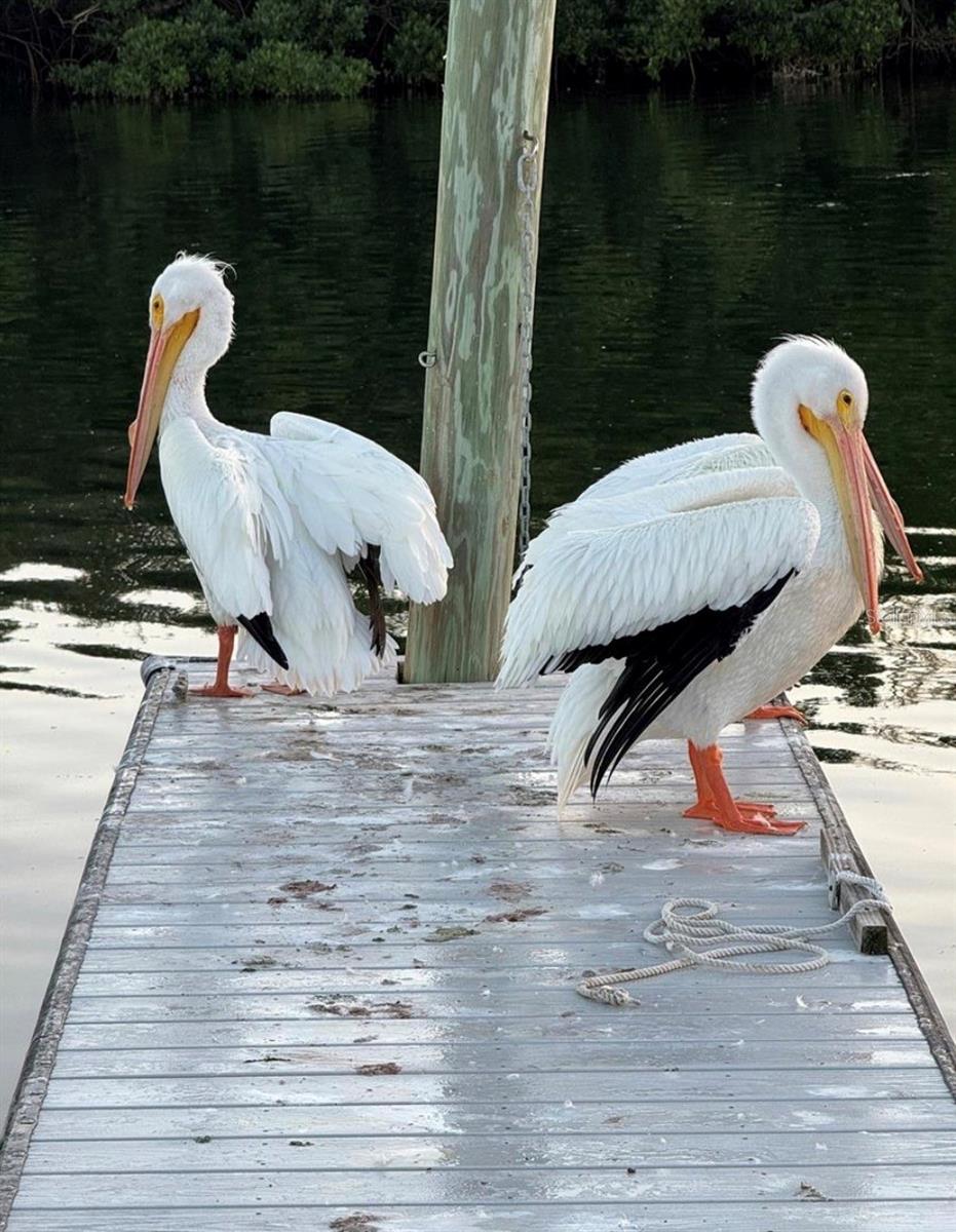 8 6TH ST, BRADENTON, FL, 34210