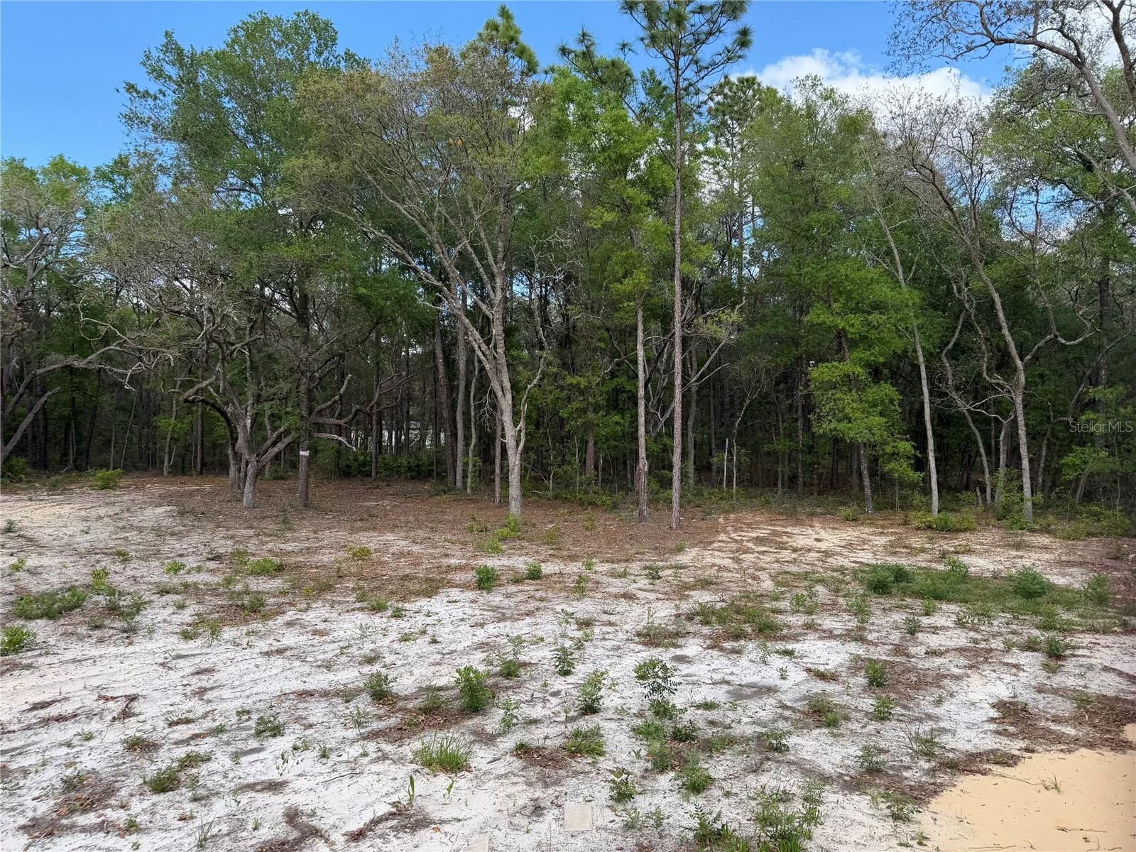 10671 NE 75TH ST, BRONSON, FL, 32621