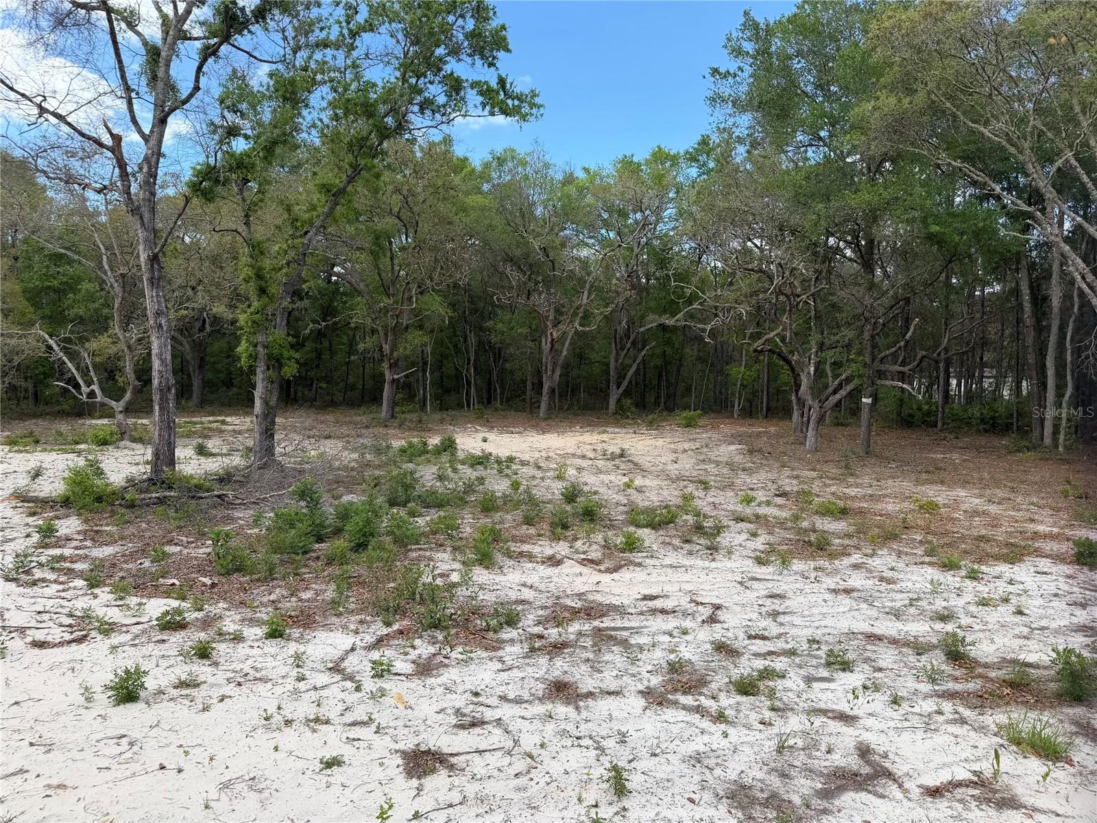 10671 NE 75TH ST, BRONSON, FL, 32621