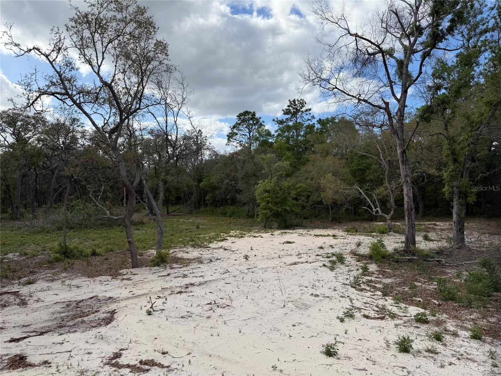 10671 NE 75TH ST, BRONSON, FL, 32621