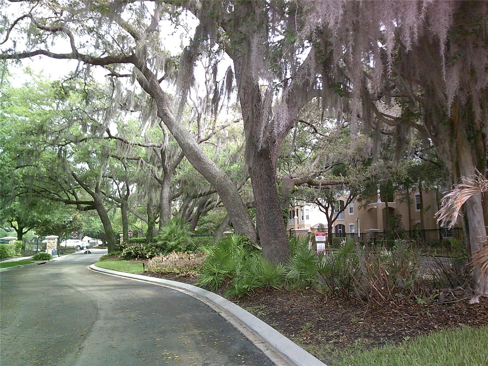 6292 TWAIN ST #107, ORLANDO, FL, 32835