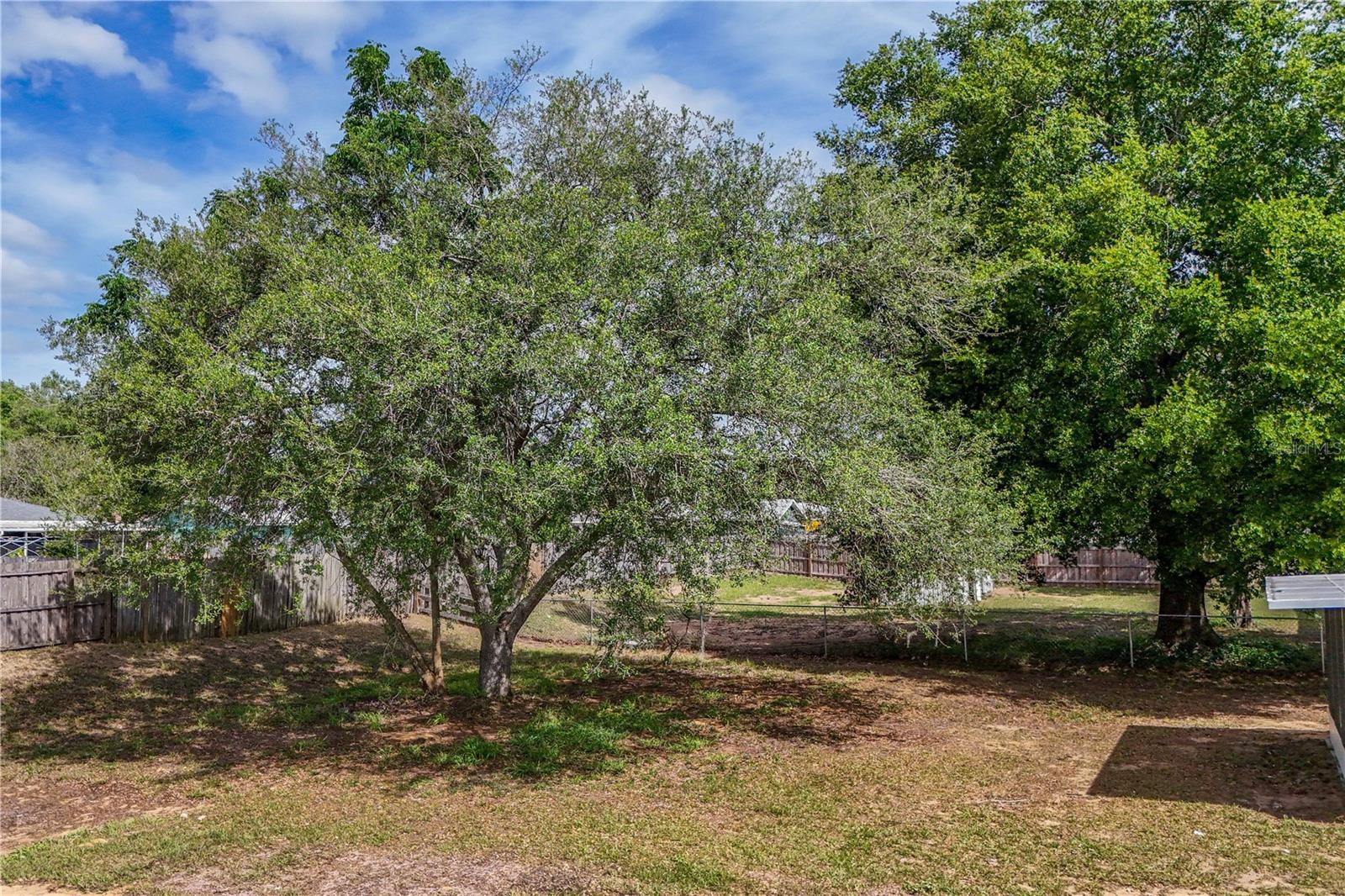 36315 STRATFORD CT, GRAND ISLAND, FL, 32735