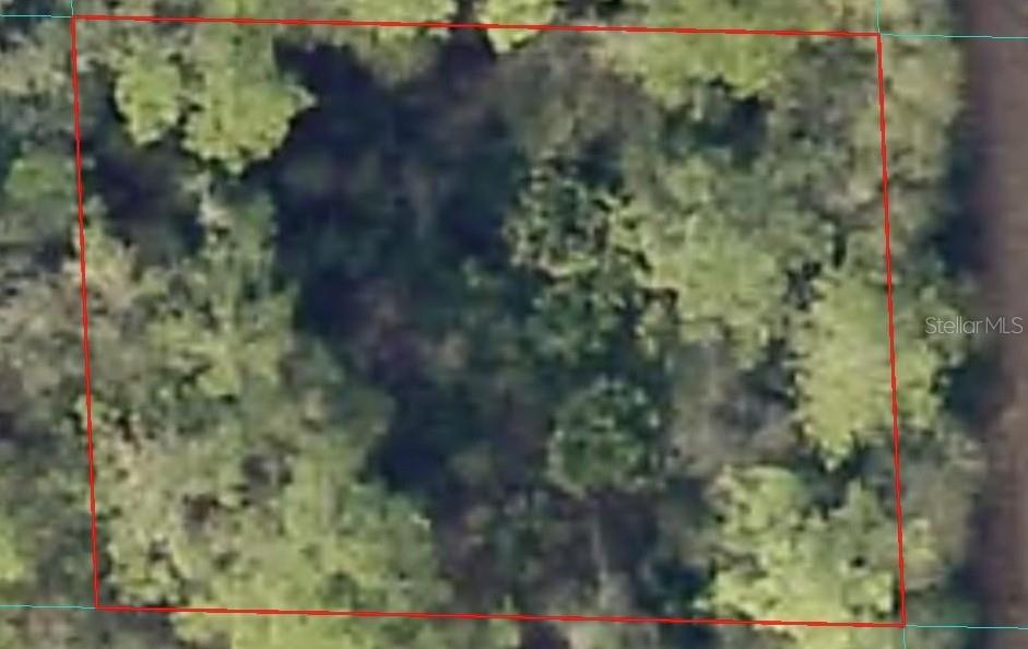 00 NE 66TH CT, CITRA, FL, 32113