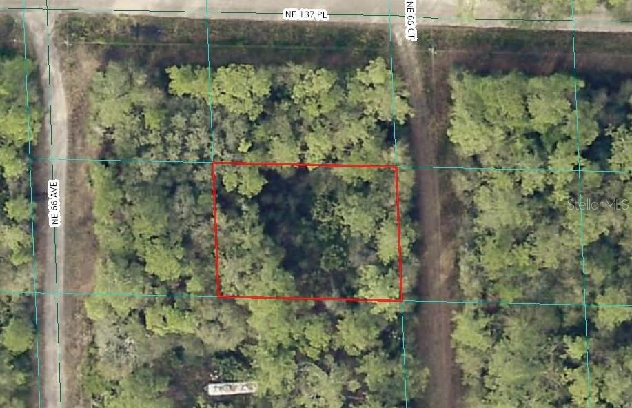 00 NE 66TH CT, CITRA, FL, 32113