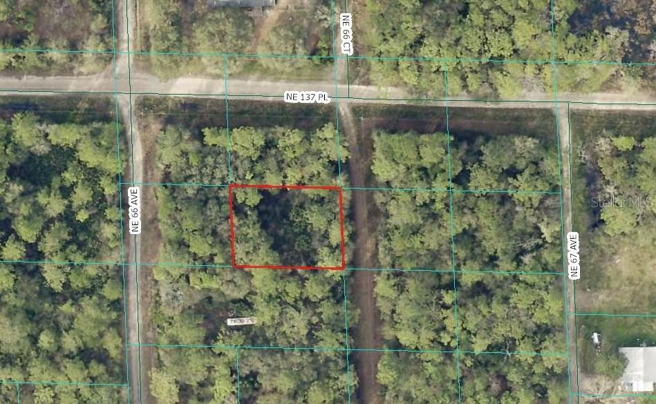 00 NE 66TH CT, CITRA, FL, 32113