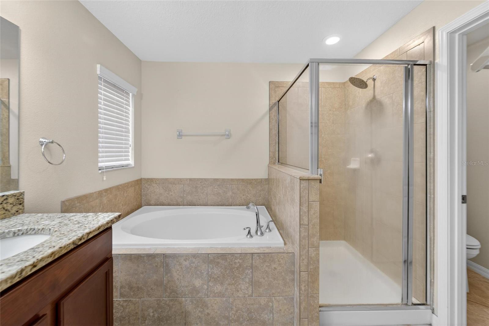 13214 ROYAL PINES AVE, RIVERVIEW, FL, 33579