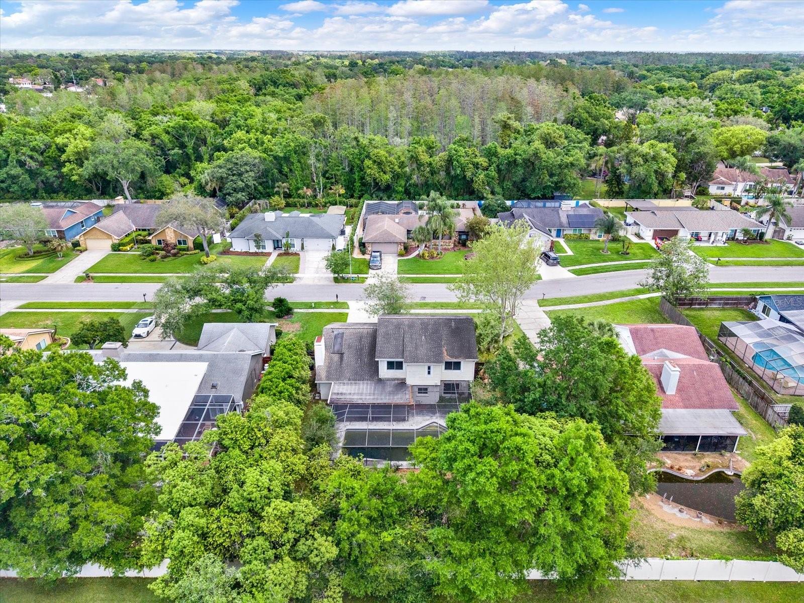 12206 SNEAD PL, TAMPA, FL, 33624