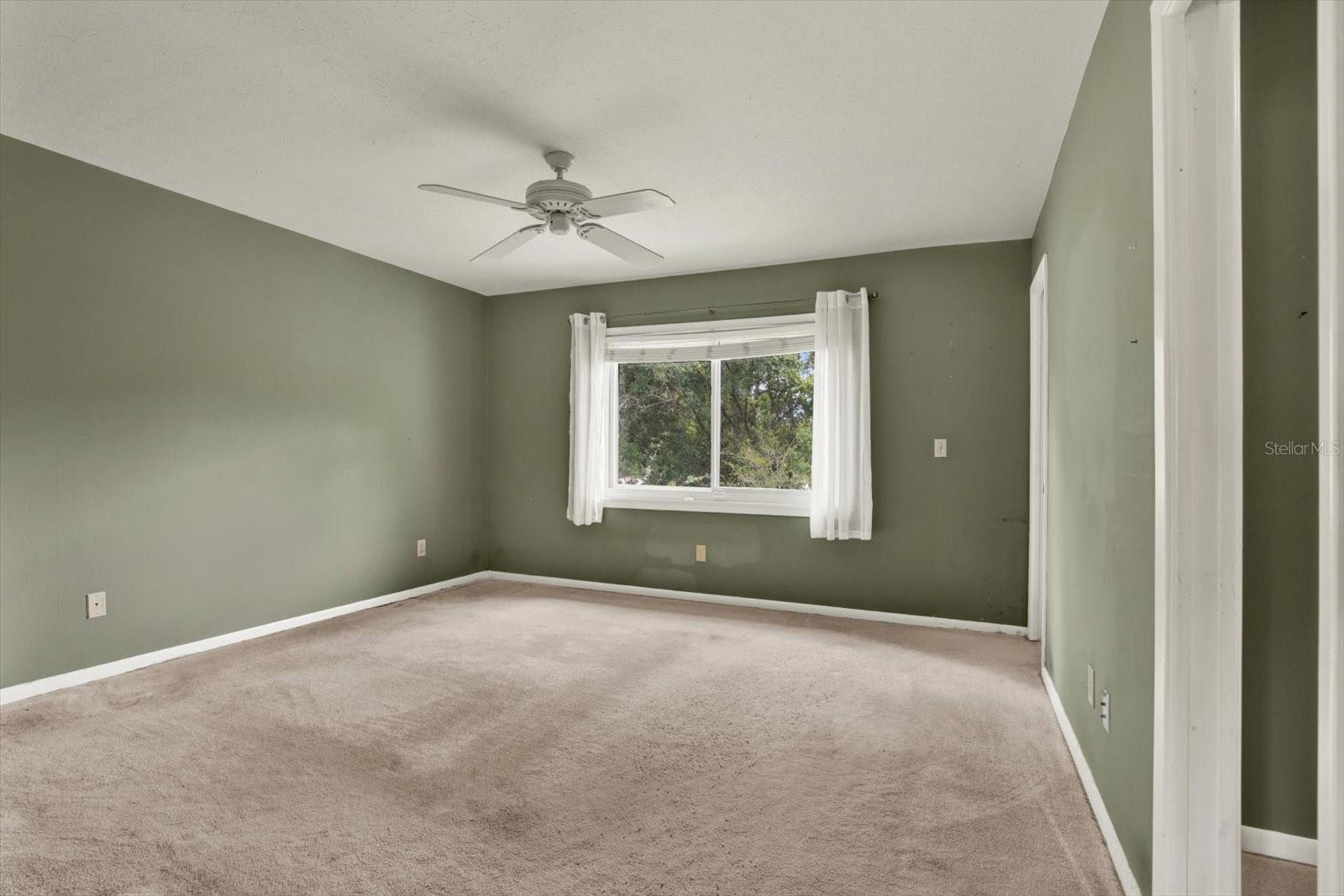 12206 SNEAD PL, TAMPA, FL, 33624